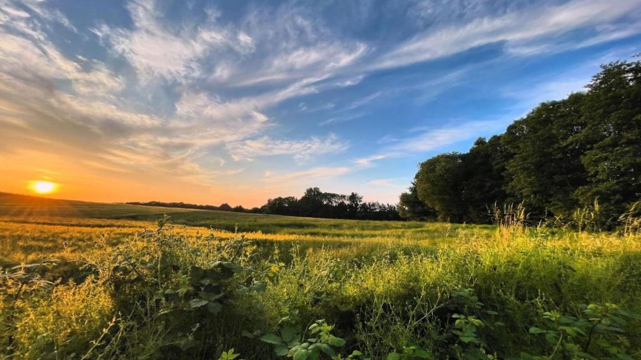 AreaSummer20KM AreaSummer20KM